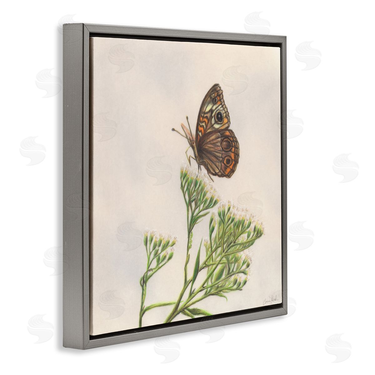 Spring Offerings Butterfly Grey Floating Frame Canvas Wall Art, Home Decor by Connie Resch
