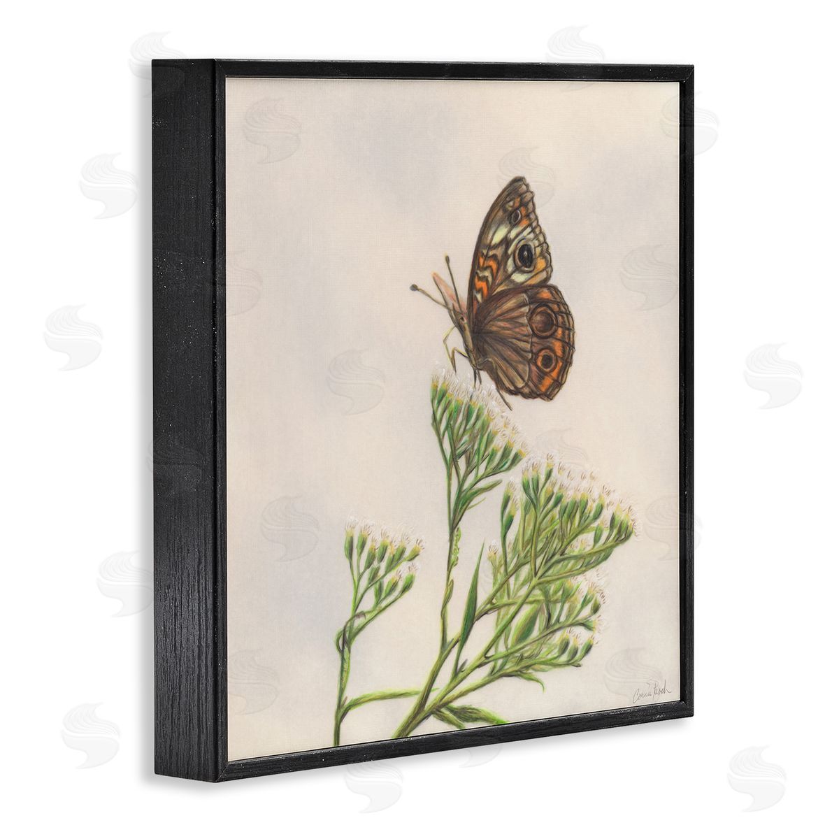Spring Offerings Butterfly Black Frame Print Wall Art, Home Decor by Connie Resch