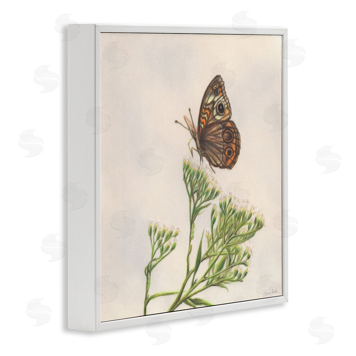 Spring Offerings Butterfly White Frame Print Wall Art, Home Decor by Connie Resch