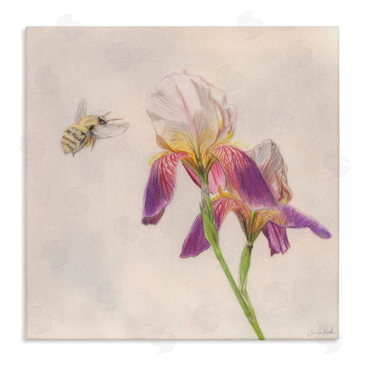Spring Offerings Bee Canvas Wall Art, Home Decor by Connie Resch