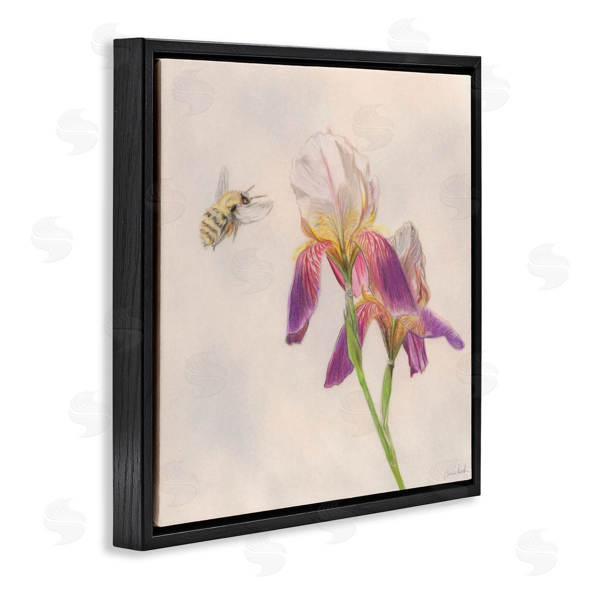 Spring Offerings Bee Black Floating Frame Canvas Wall Art, Home Decor by Connie Resch