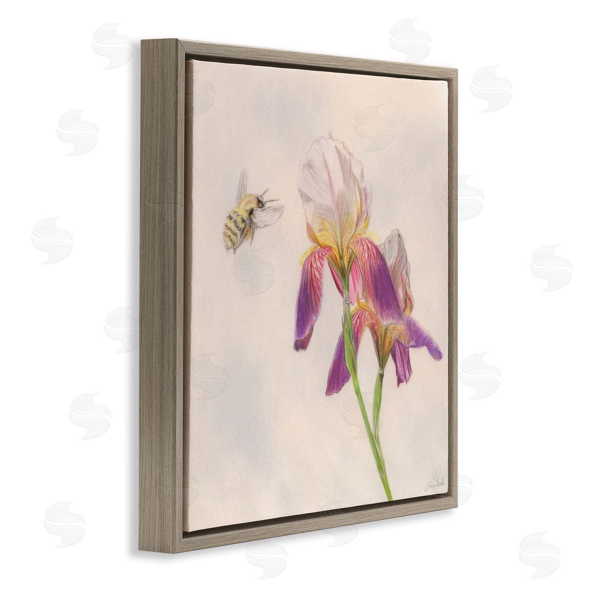 Spring Offerings Bee Brown Floating Frame Canvas Wall Art, Home Decor by Connie Resch