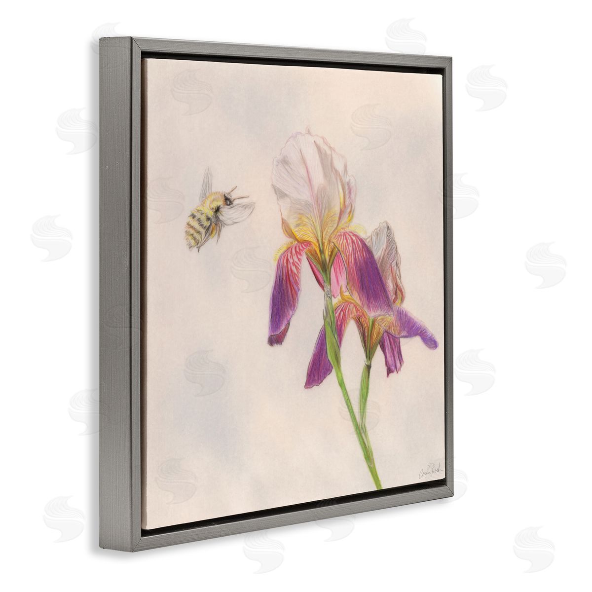 Spring Offerings Bee Grey Floating Frame Canvas Wall Art, Home Decor by Connie Resch