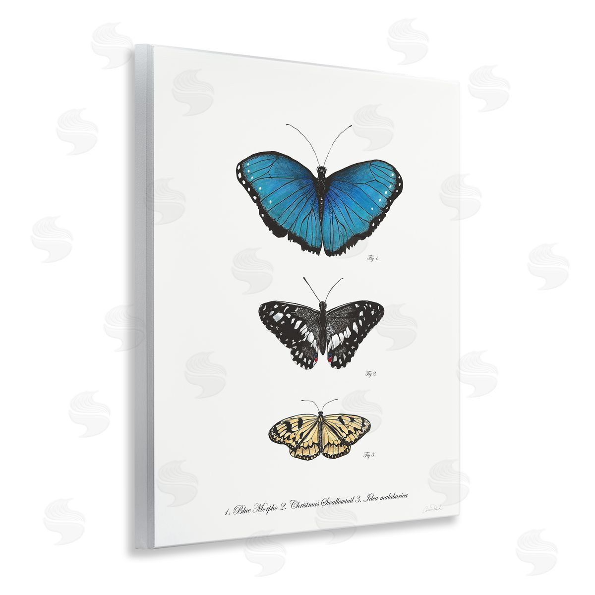Vintage Butterfly Specimens Wood Plaque Wall Art, Home Decor by Connie Resch