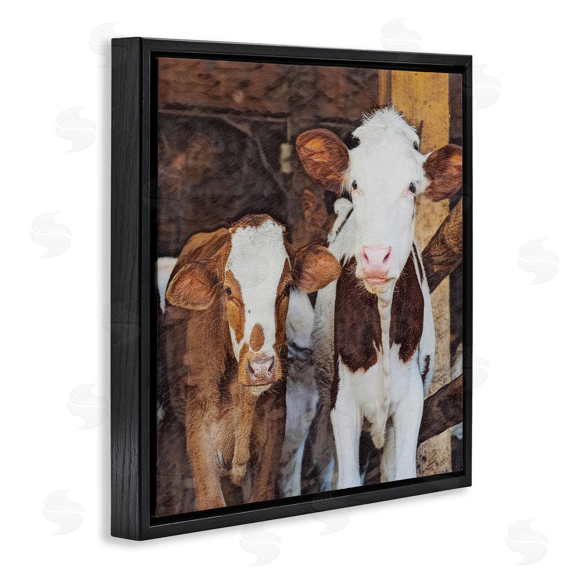 SunDance Group LLC Baby Cows on Farm Black Floating Frame Canvas Wall Art Print