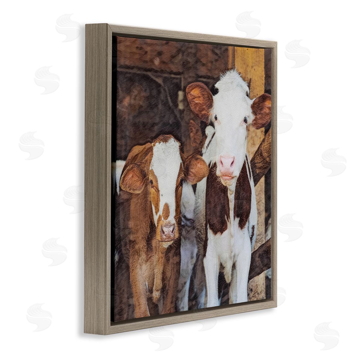 SunDance Group LLC Baby Cows on Farm Brown Floating Frame Canvas Wall Art Print