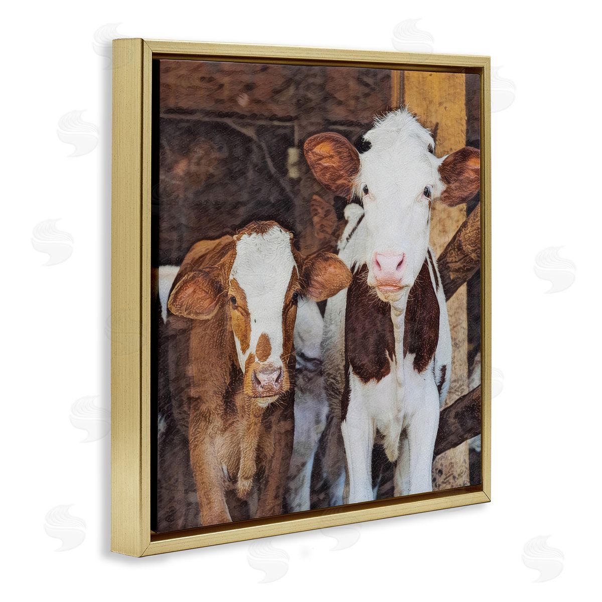 SunDance Group LLC Baby Cows on Farm Gold Floating Frame Canvas Wall Art Print