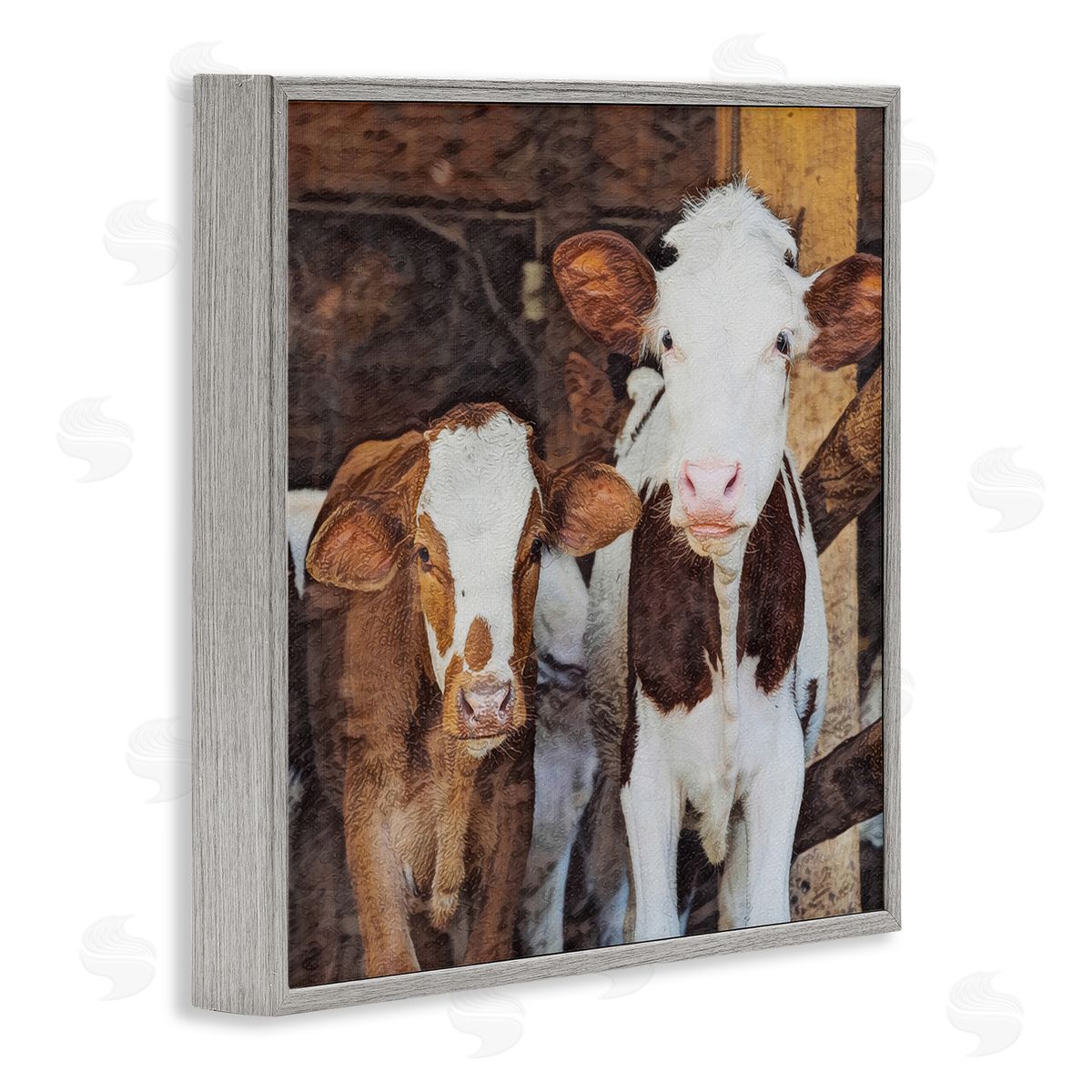 SunDance Group LLC Baby Cows on Farm Gray Framed Giclee Wall Art Print