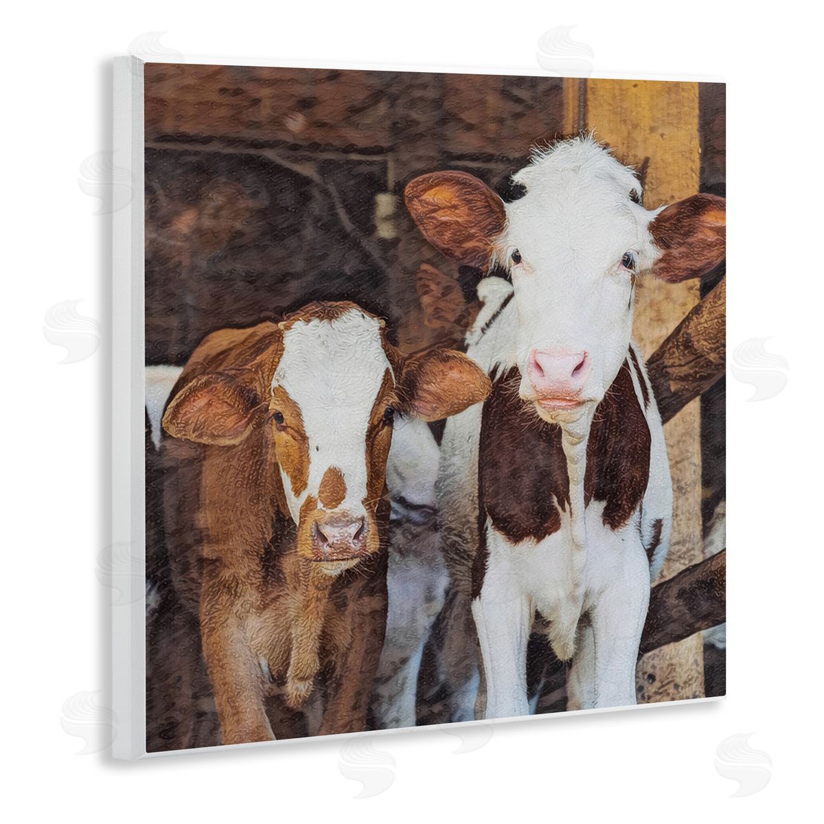 SunDance Group LLC Baby Cows on Farm Wooden Wall Plaque Art Print