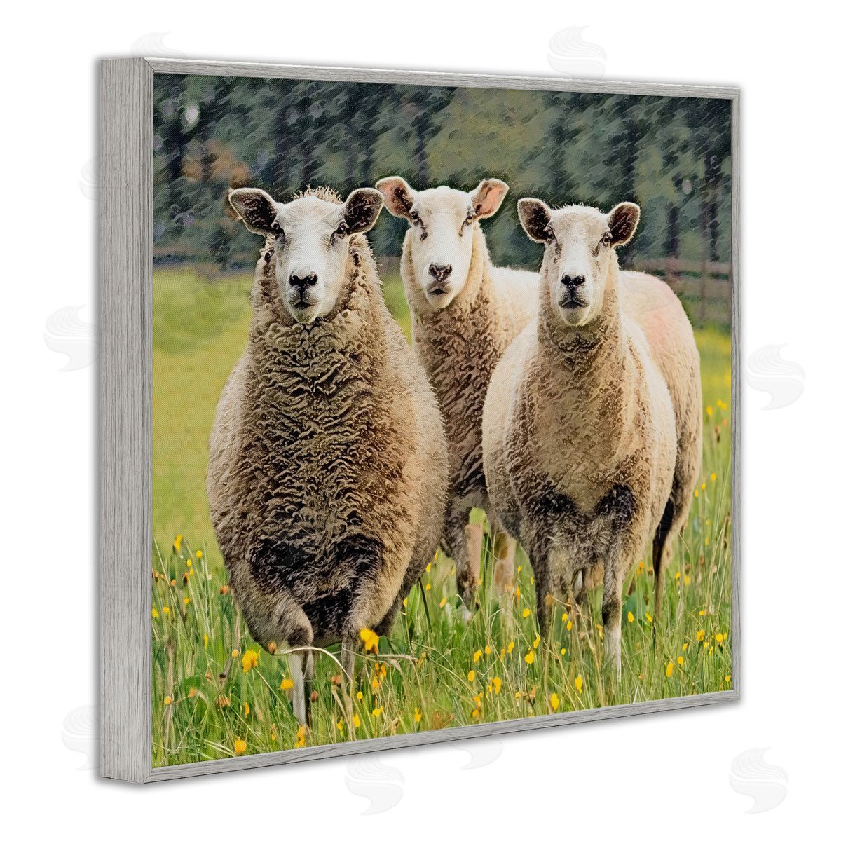 Sheep Grazing in Grass Grey Frame Print Wall Art, Home Decor by Sundance Group, LLC.