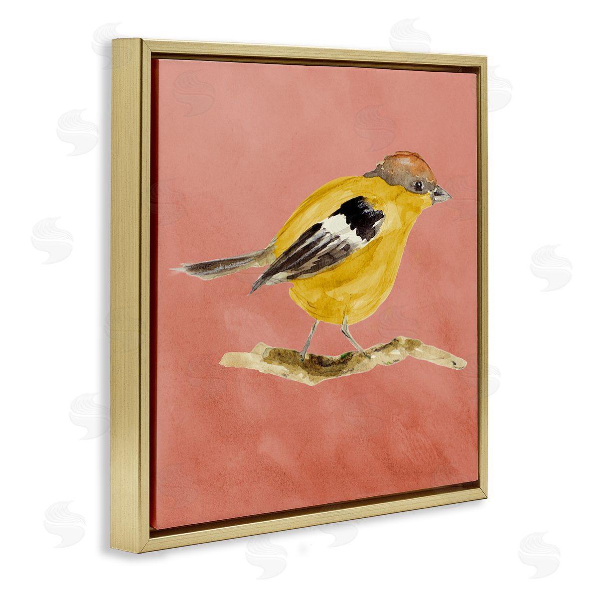 Traditional Wren Bird Gold Floating Frame Canvas Wall Art, Home Decor by Lanie Loreth