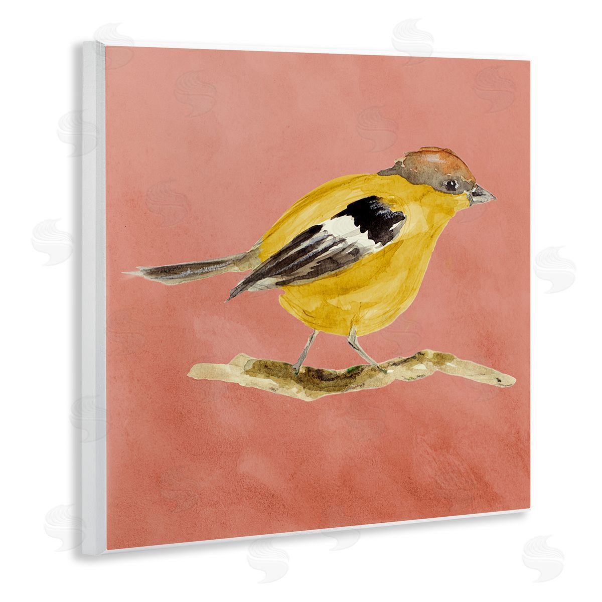 Traditional Wren Bird Wood Plaque Wall Art, Home Decor by Lanie Loreth