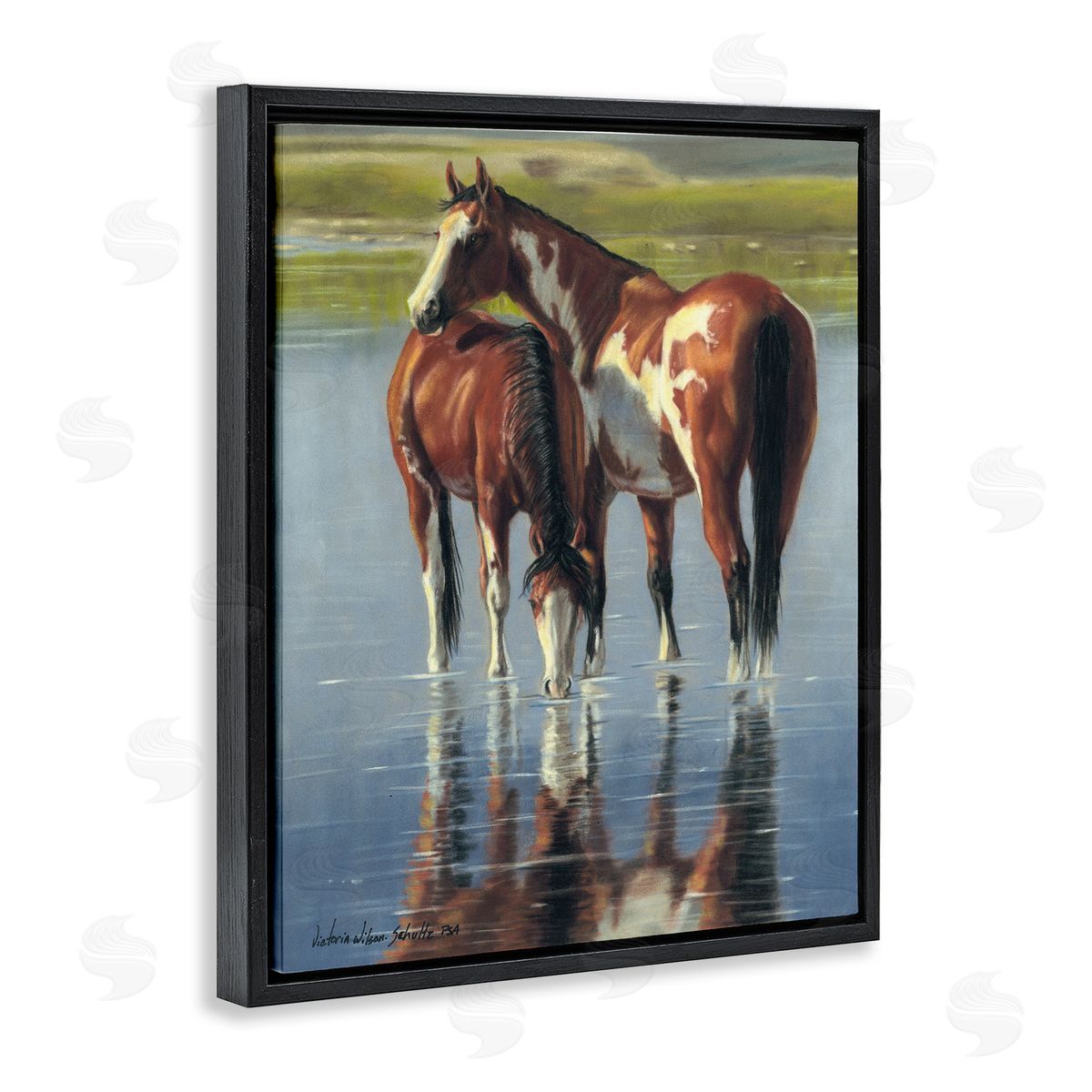 Horse and Foal Splashing Black Floating Frame Canvas Wall Art, Home Decor by Victoria Schultz
