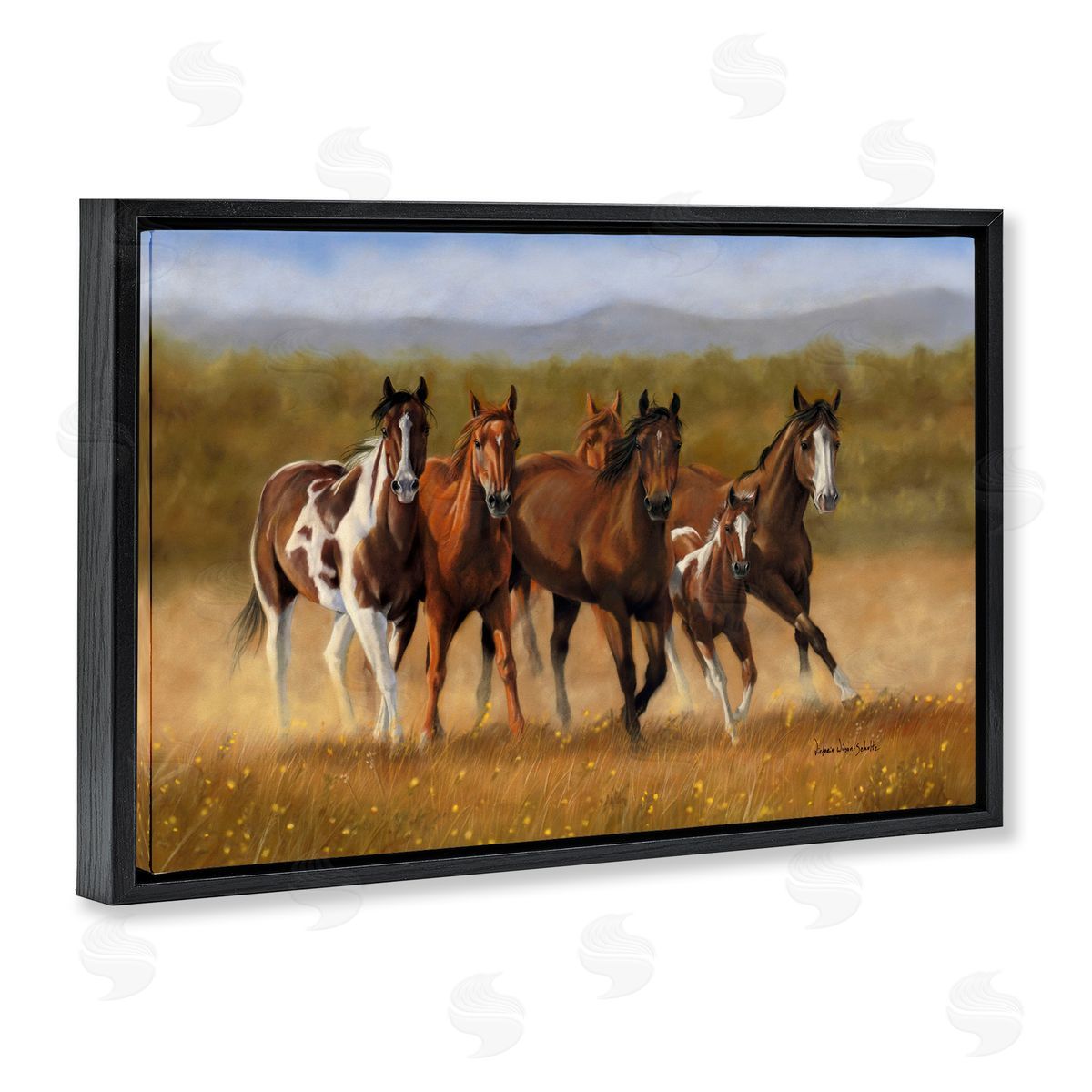 Foal's First Run Black Floating Frame Canvas Wall Art, Home Decor by Victoria Schultz