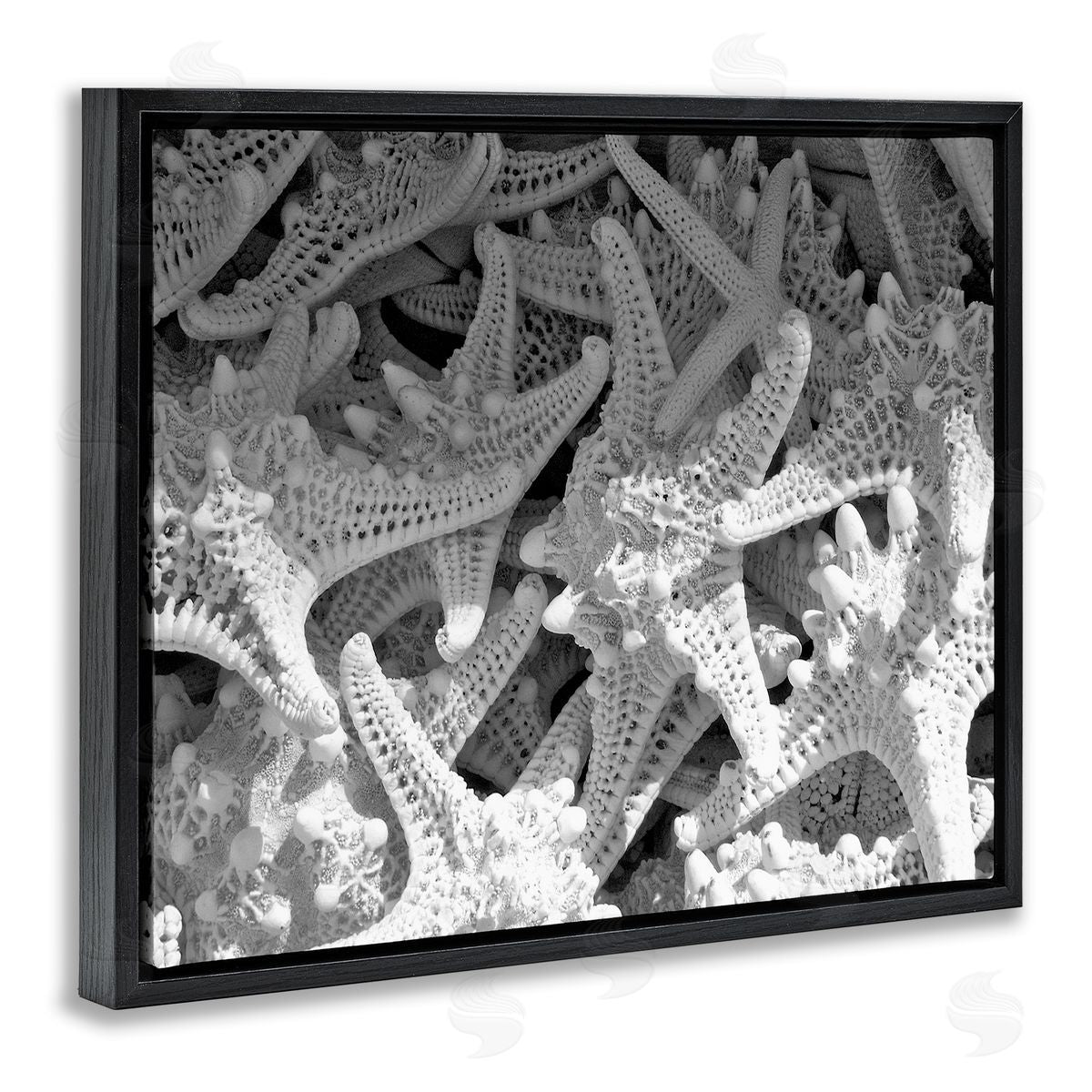 Nautical Starfish Pile Black Floating Frame Canvas Wall Art, Home Decor by Jairo Rodriguez
