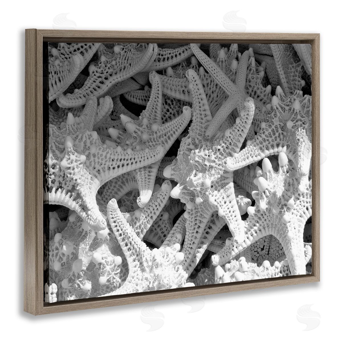 Nautical Starfish Pile Brown Floating Frame Canvas Wall Art, Home Decor by Jairo Rodriguez