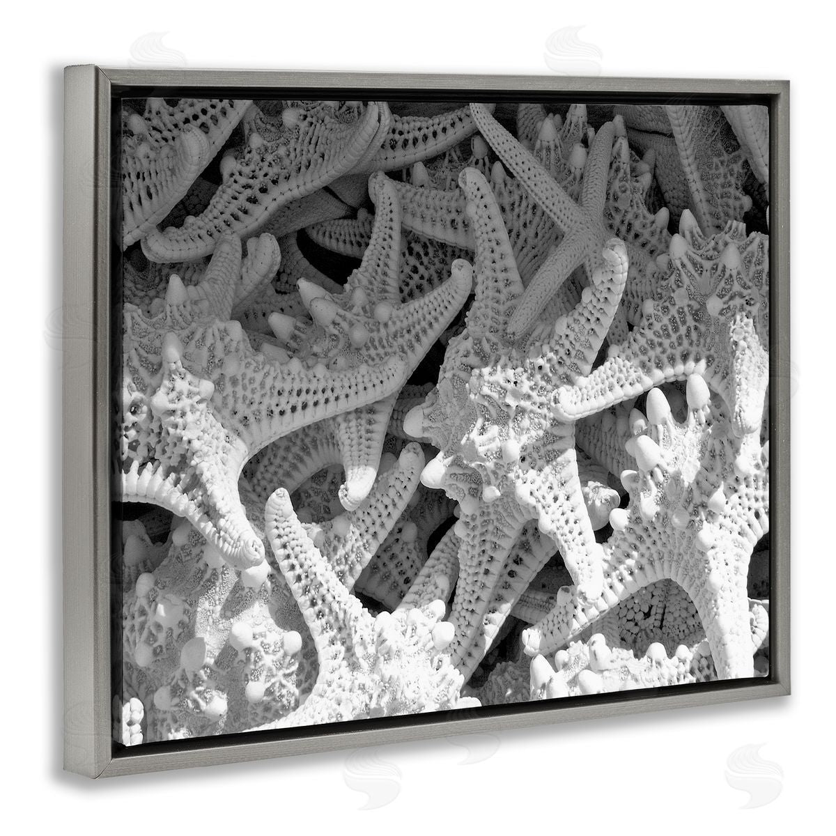 Nautical Starfish Pile Grey Floating Frame Canvas Wall Art, Home Decor by Jairo Rodriguez