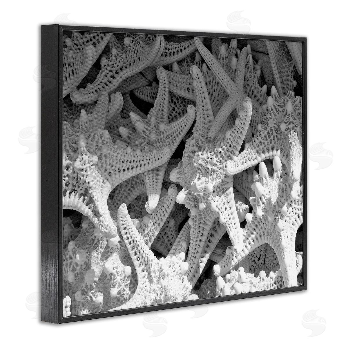 Nautical Starfish Pile Black Frame Print Wall Art, Home Decor by Jairo Rodriguez
