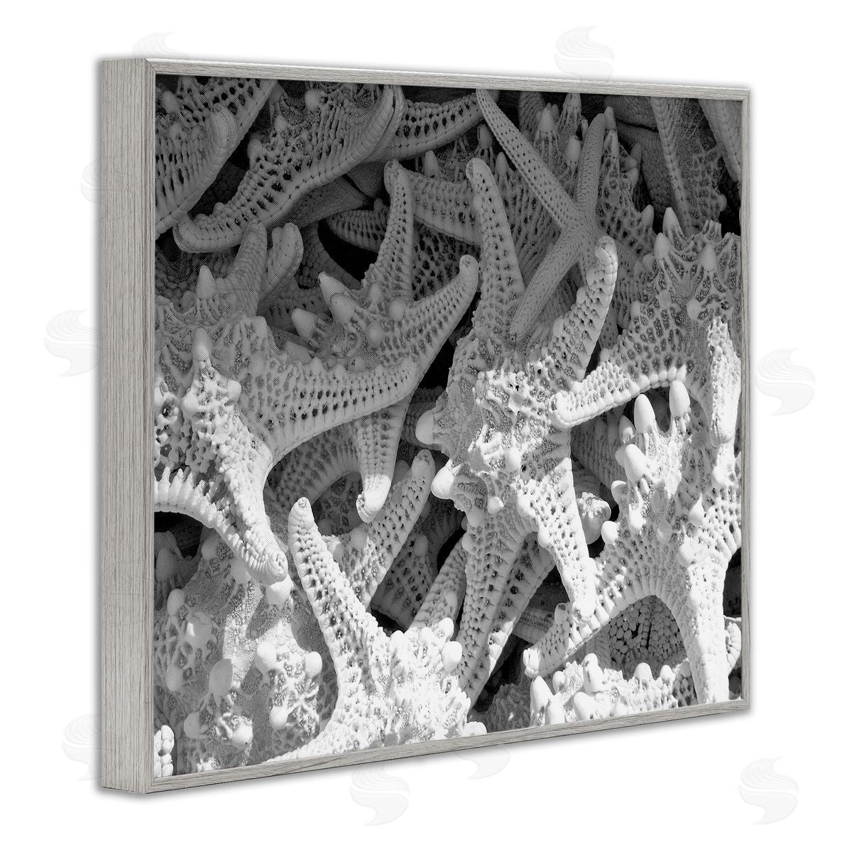 Nautical Starfish Pile Grey Frame Print Wall Art, Home Decor by Jairo Rodriguez
