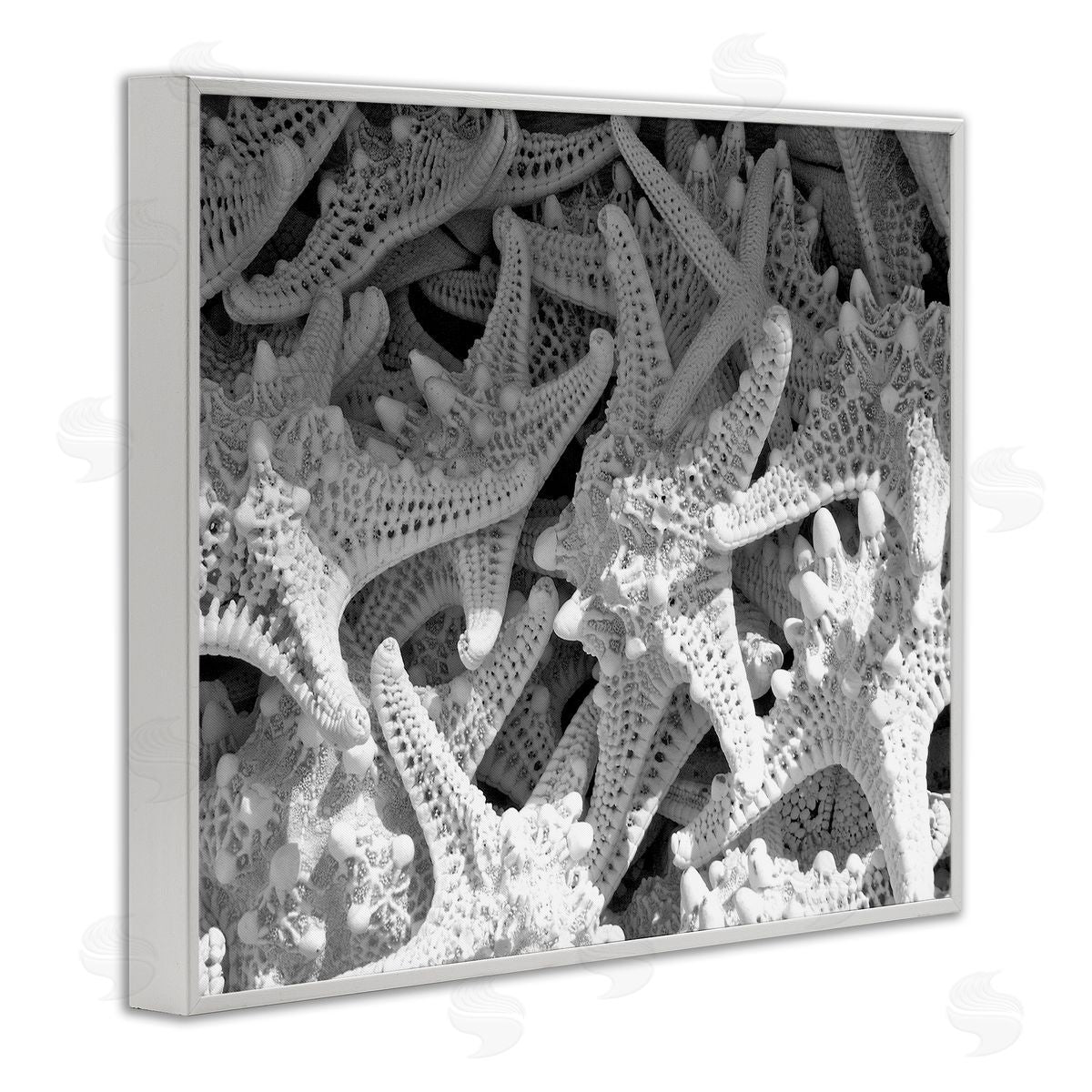 Nautical Starfish Pile White Frame Print Wall Art, Home Decor by Jairo Rodriguez