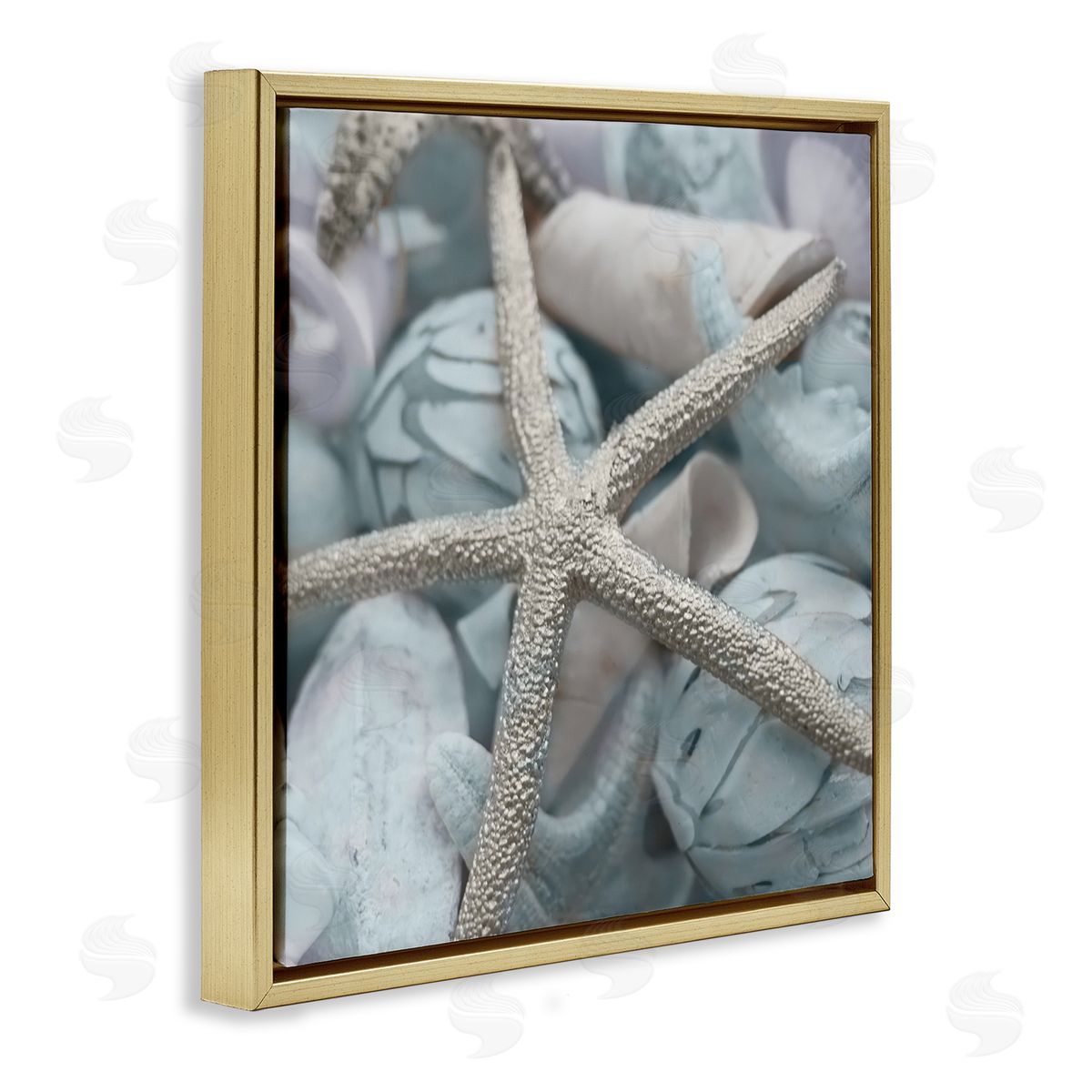 Susan Bryant Starfish & Various Shells Gold Floating Frame Canvas Wall Art Print