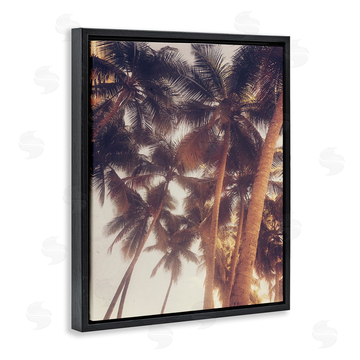 Acosta Sunlit Palm Tree Black Floating Frame Canvas Wall Art Print
