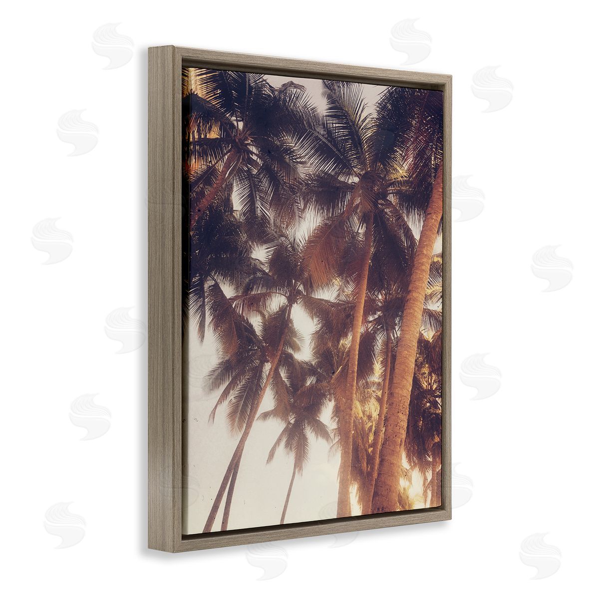 Acosta Sunlit Palm Tree Brown Floating Frame Canvas Wall Art Print