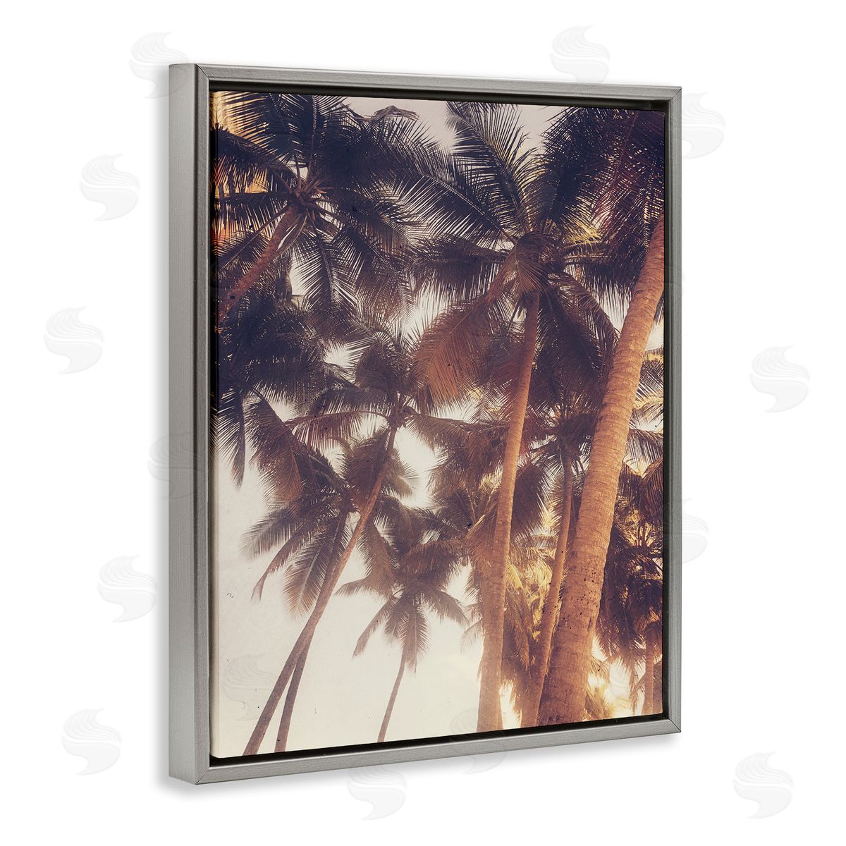 Acosta Sunlit Palm Tree Gray Floating Frame Canvas Wall Art Print