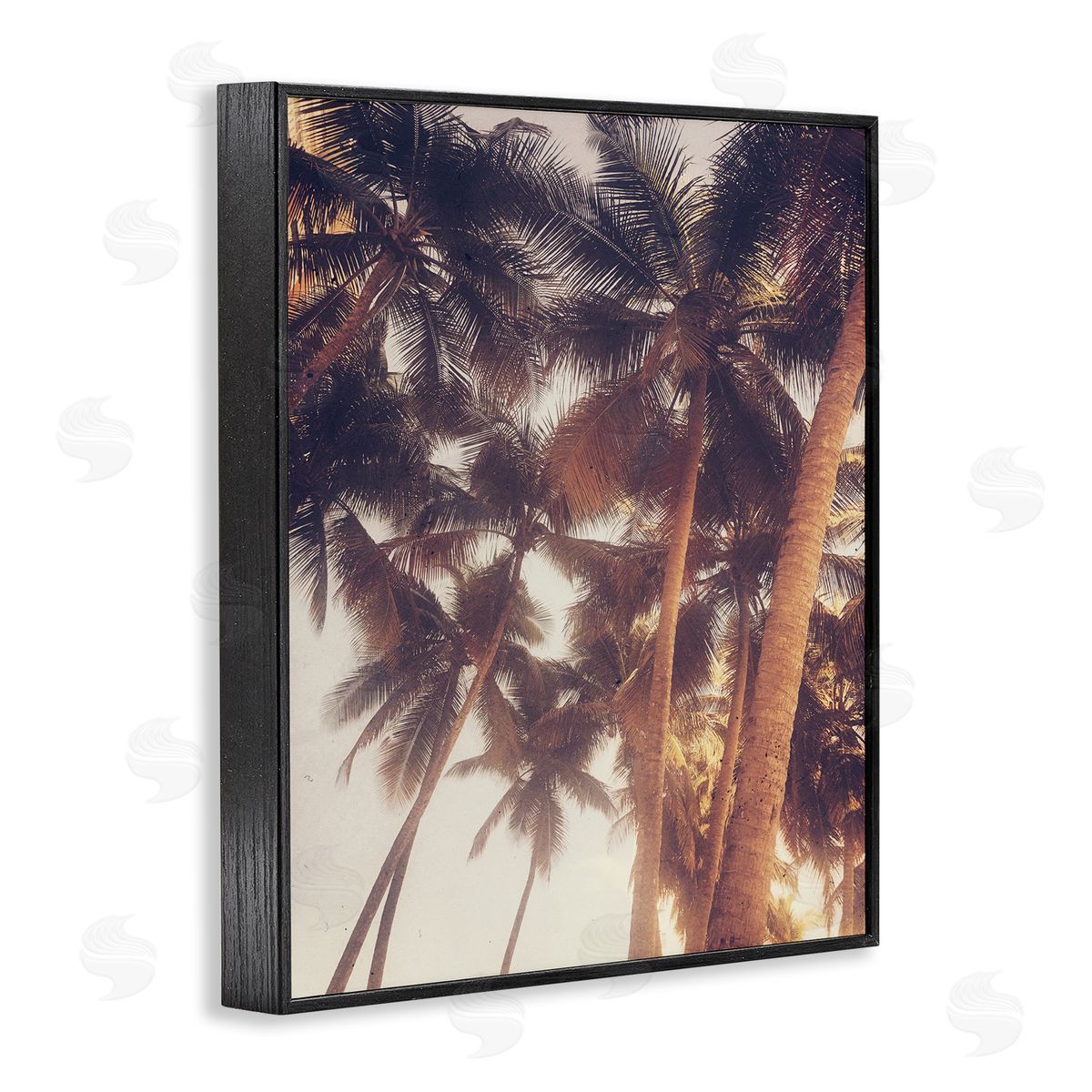 Acosta Sunlit Palm Tree Black Framed Giclee Wall Art Print