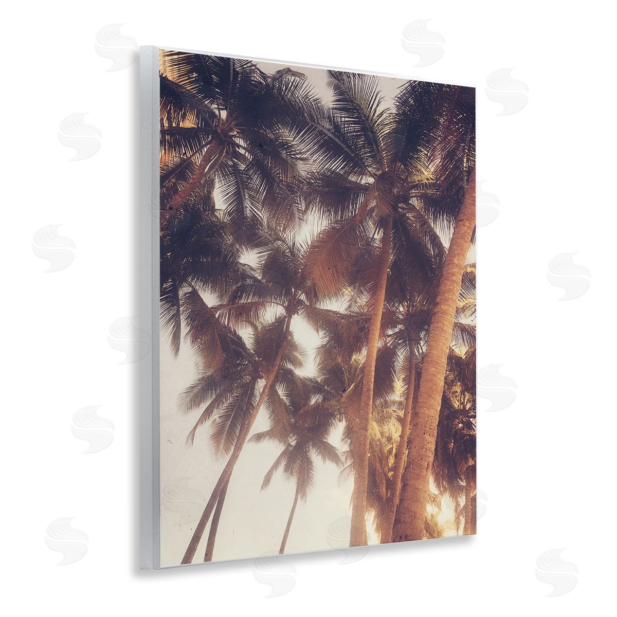 Acosta Sunlit Palm Tree Wooden Wall Plaque Art Print