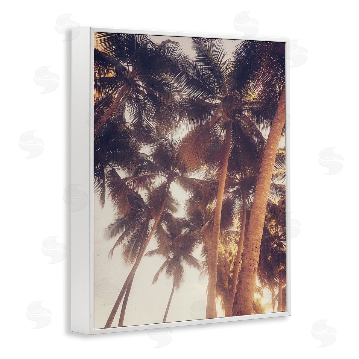Acosta Sunlit Palm Tree White Framed Giclee Wall Art Print