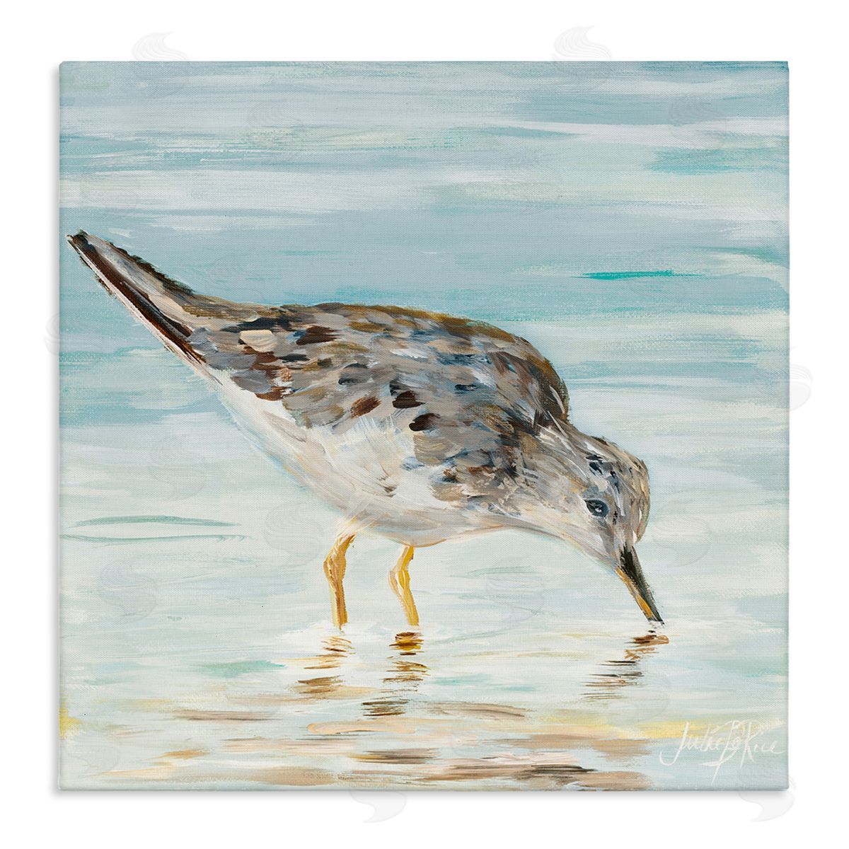 Grey Beach Sandpiper Canvas Wall Art, Home Decor by Julie DeRice
