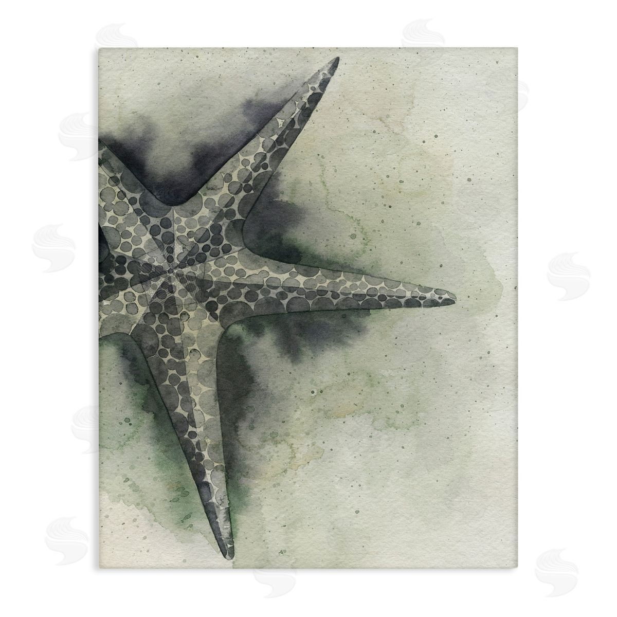 Complex Grey Starfish Canvas Wall Art, Home Decor by Grace Popp