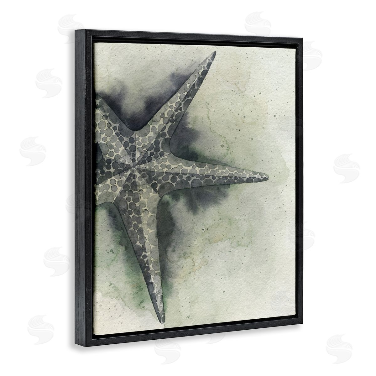 Complex Grey Starfish Black Floating Frame Canvas Wall Art, Home Decor by Grace Popp