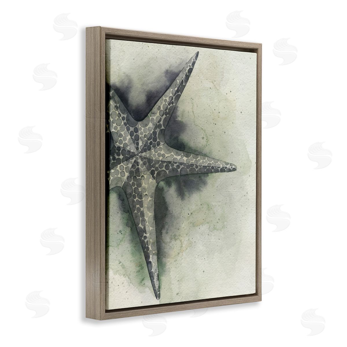 Complex Grey Starfish Brown Floating Frame Canvas Wall Art, Home Decor by Grace Popp
