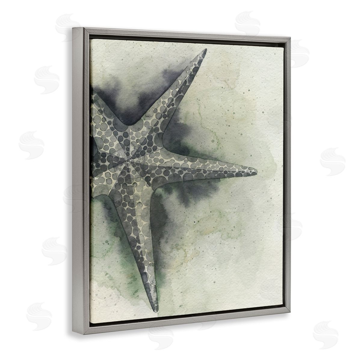 Complex Grey Starfish Grey Floating Frame Canvas Wall Art, Home Decor by Grace Popp