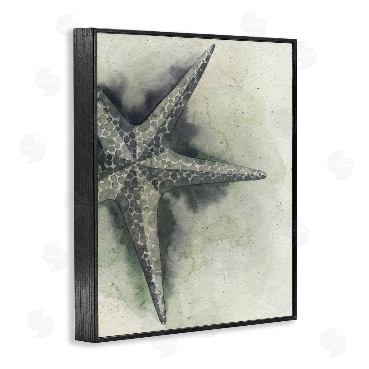 Complex Grey Starfish Black Frame Print Wall Art, Home Decor by Grace Popp