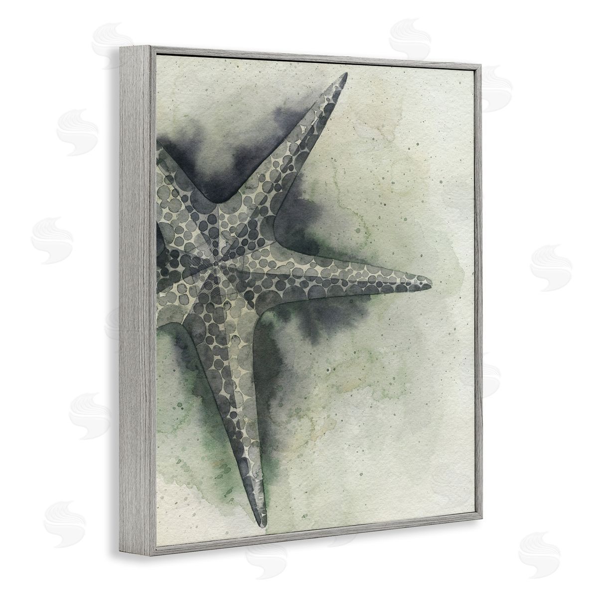 Complex Grey Starfish Grey Frame Print Wall Art, Home Decor by Grace Popp