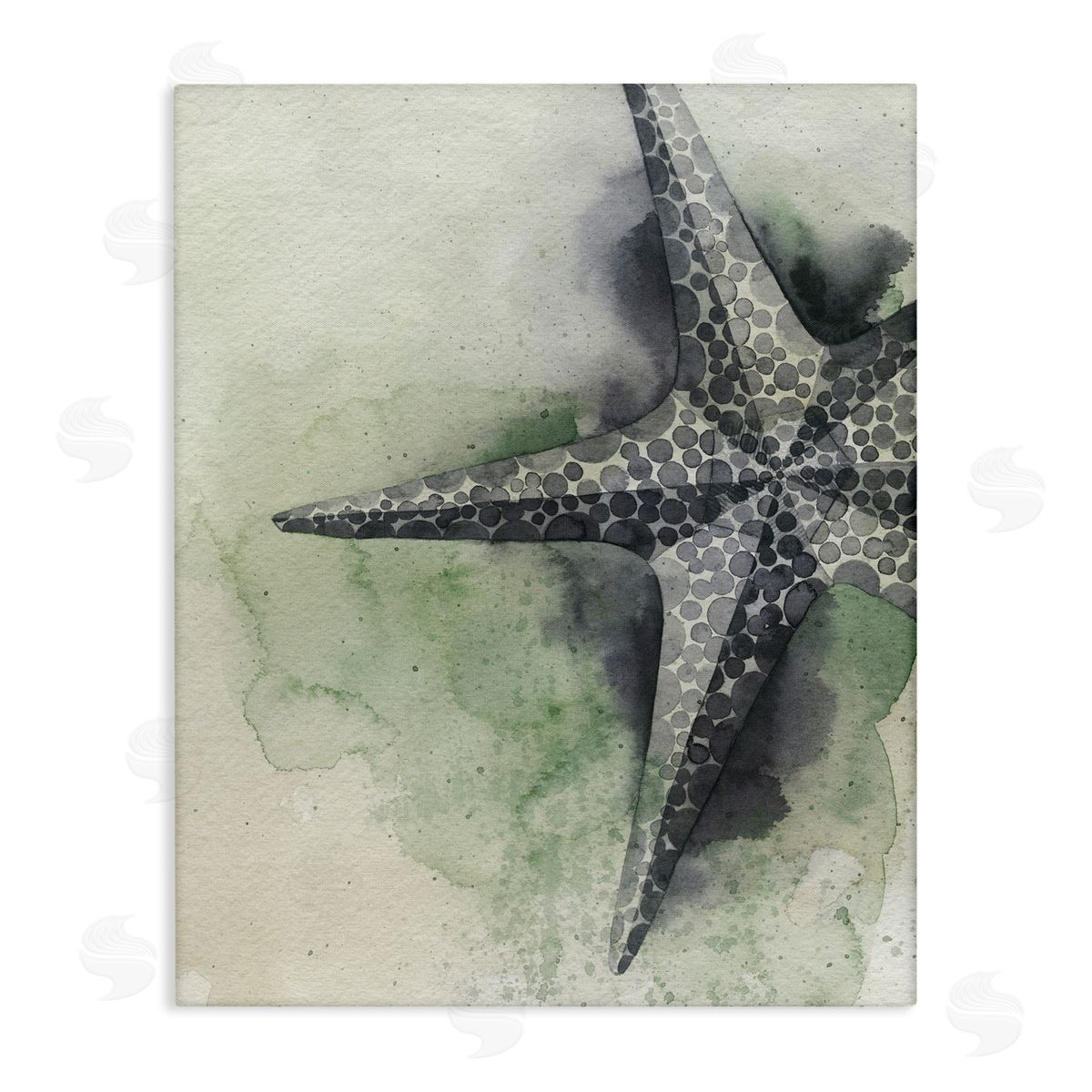 Spotted Grey Starfish Canvas Wall Art, Home Decor by Grace Popp