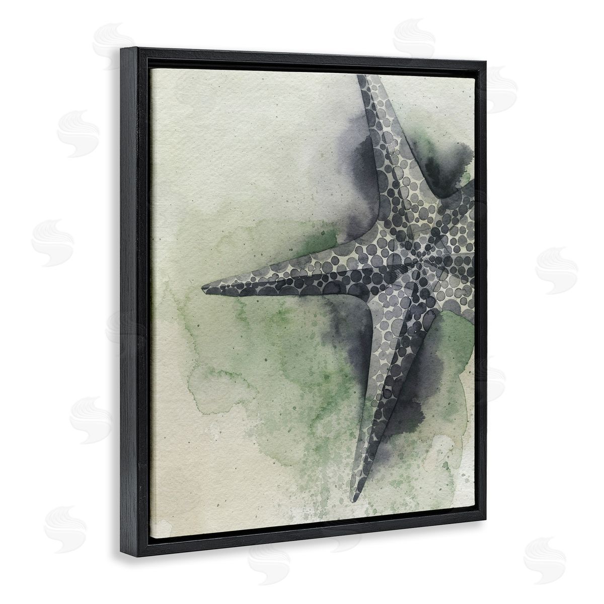 Spotted Grey Starfish Black Floating Frame Canvas Wall Art, Home Decor by Grace Popp