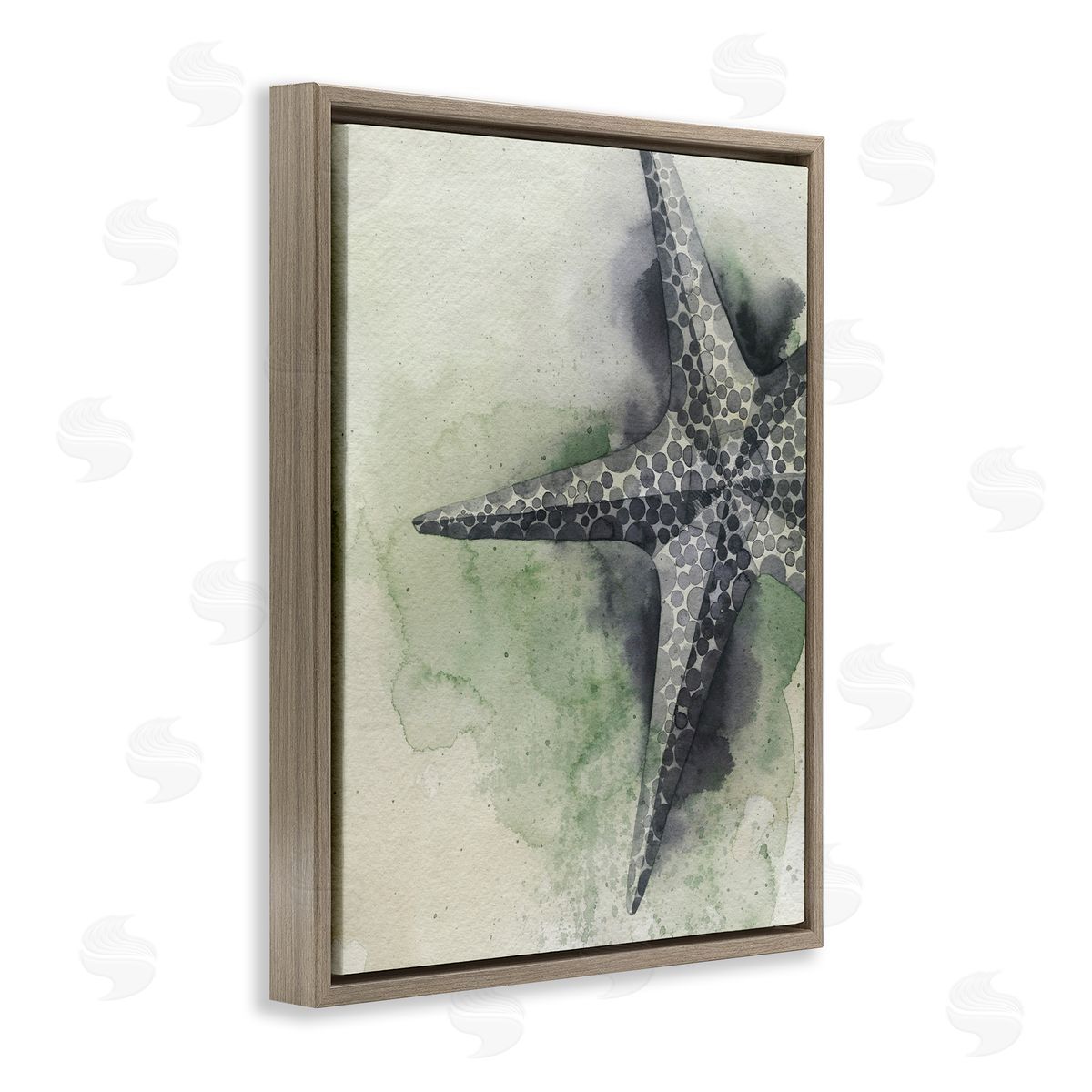 Spotted Grey Starfish Brown Floating Frame Canvas Wall Art, Home Decor by Grace Popp