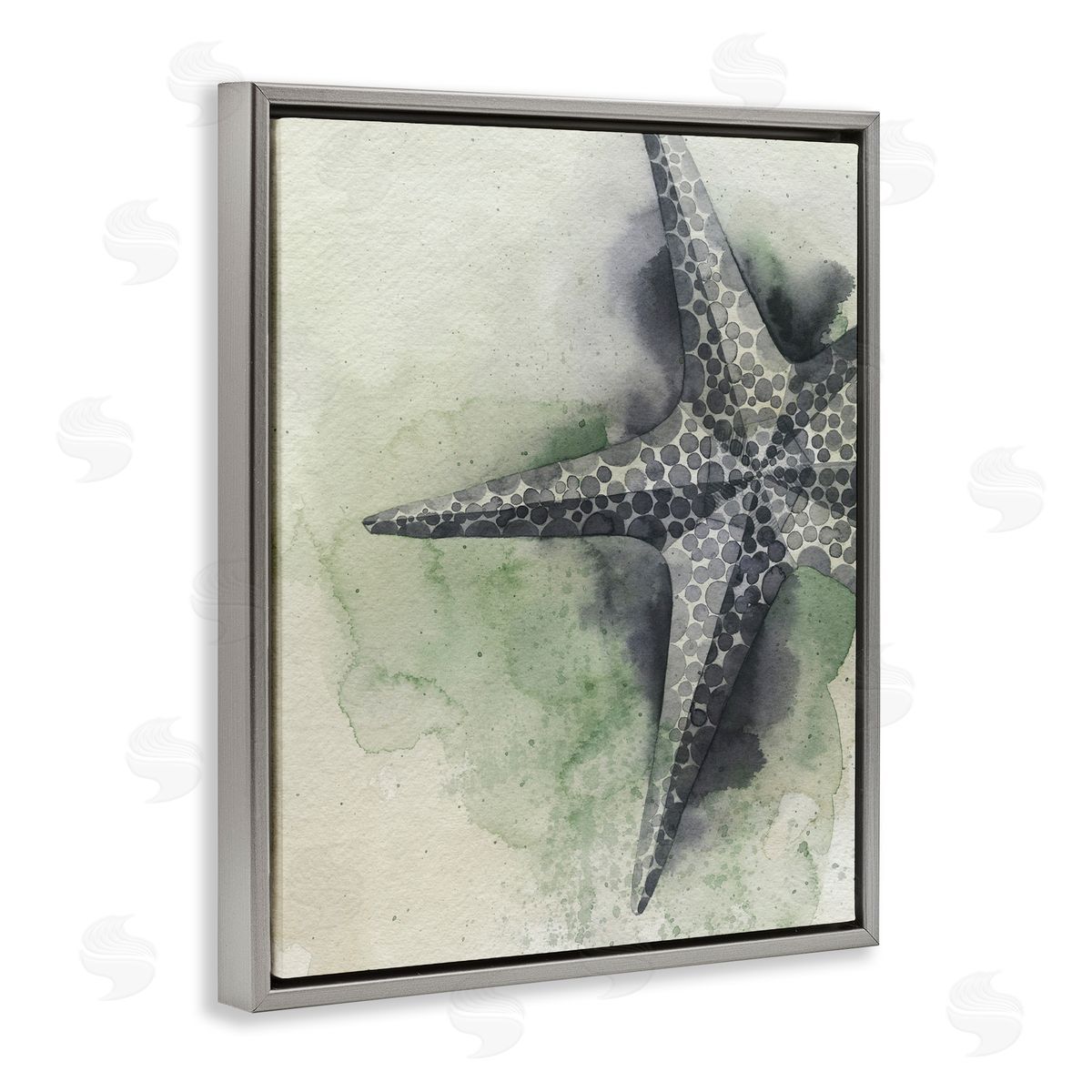 Spotted Grey Starfish Grey Floating Frame Canvas Wall Art, Home Decor by Grace Popp