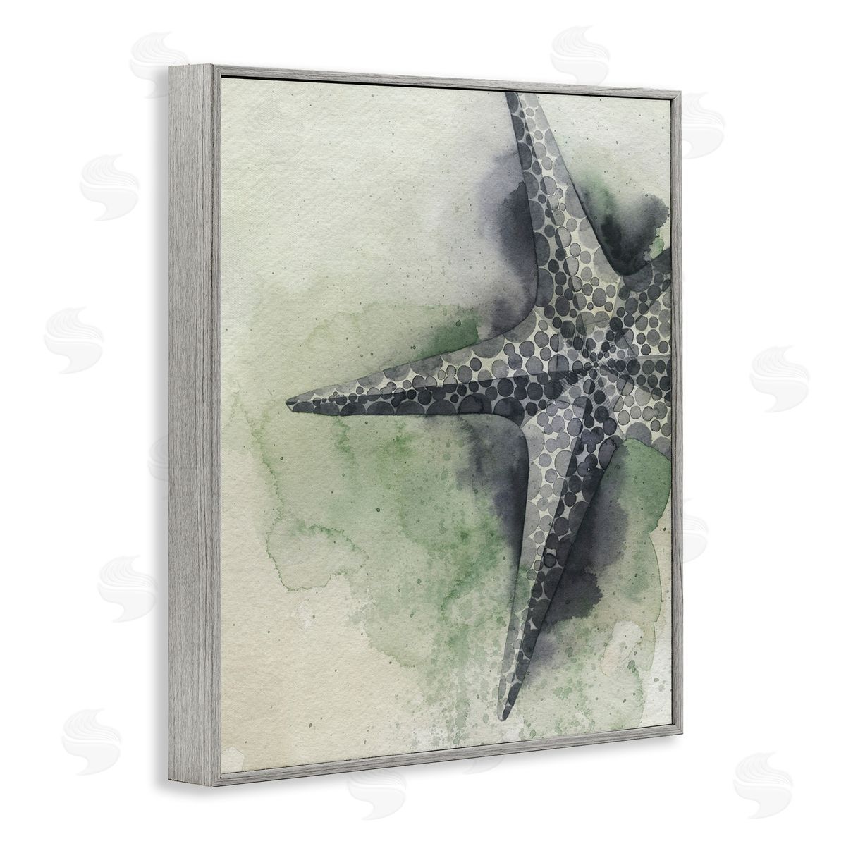 Spotted Grey Starfish Grey Frame Print Wall Art, Home Decor by Grace Popp