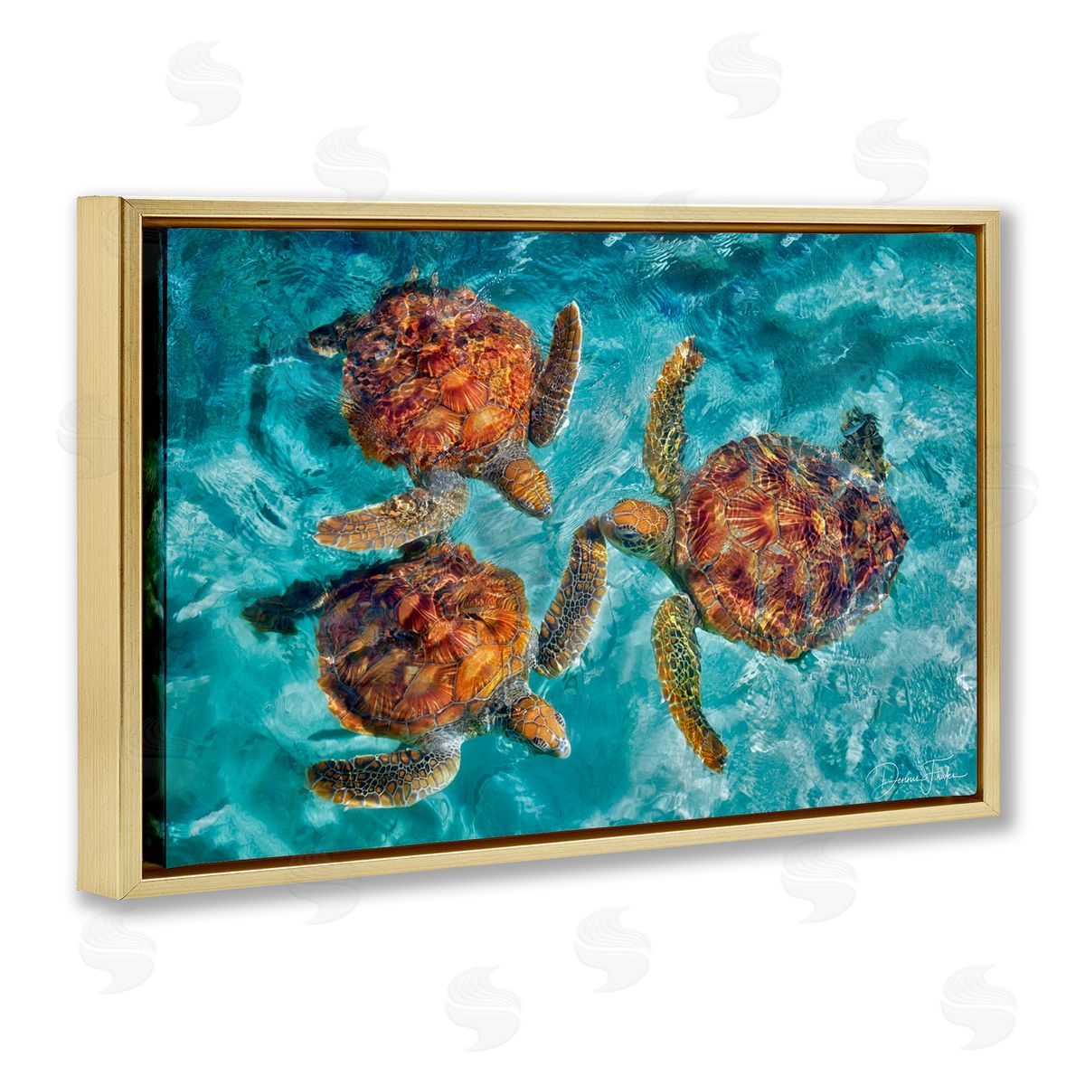 Swimming Tortoise Trio Gold Floating Frame Canvas Wall Art, Home Decor by Dennis Frates