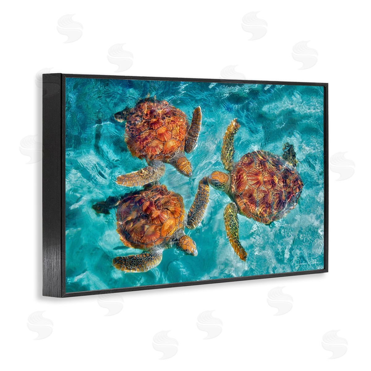 Swimming Tortoise Trio Black Frame Print Wall Art, Home Decor by Dennis Frates
