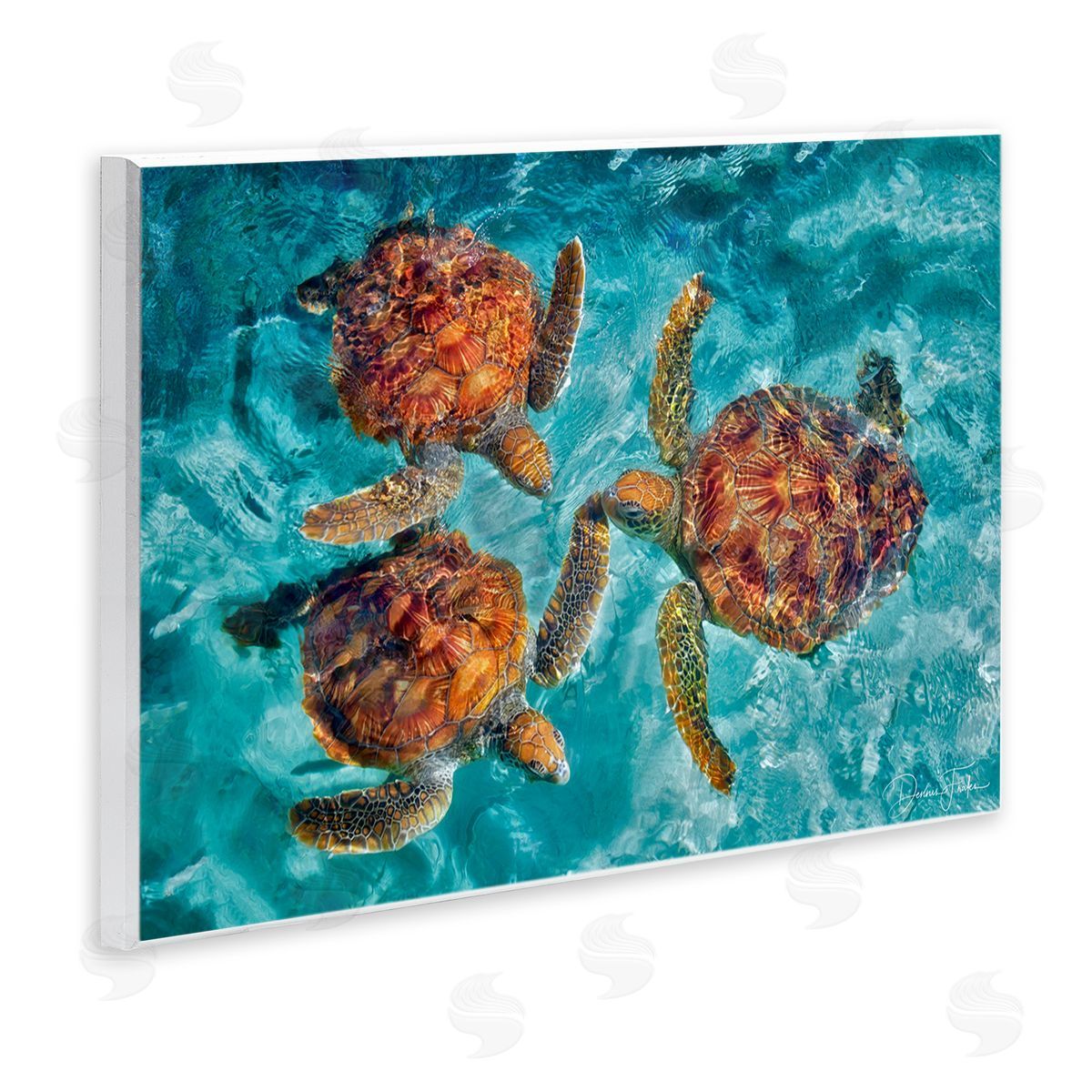 Swimming Tortoise Trio Wood Plaque Wall Art, Home Decor by Dennis Frates