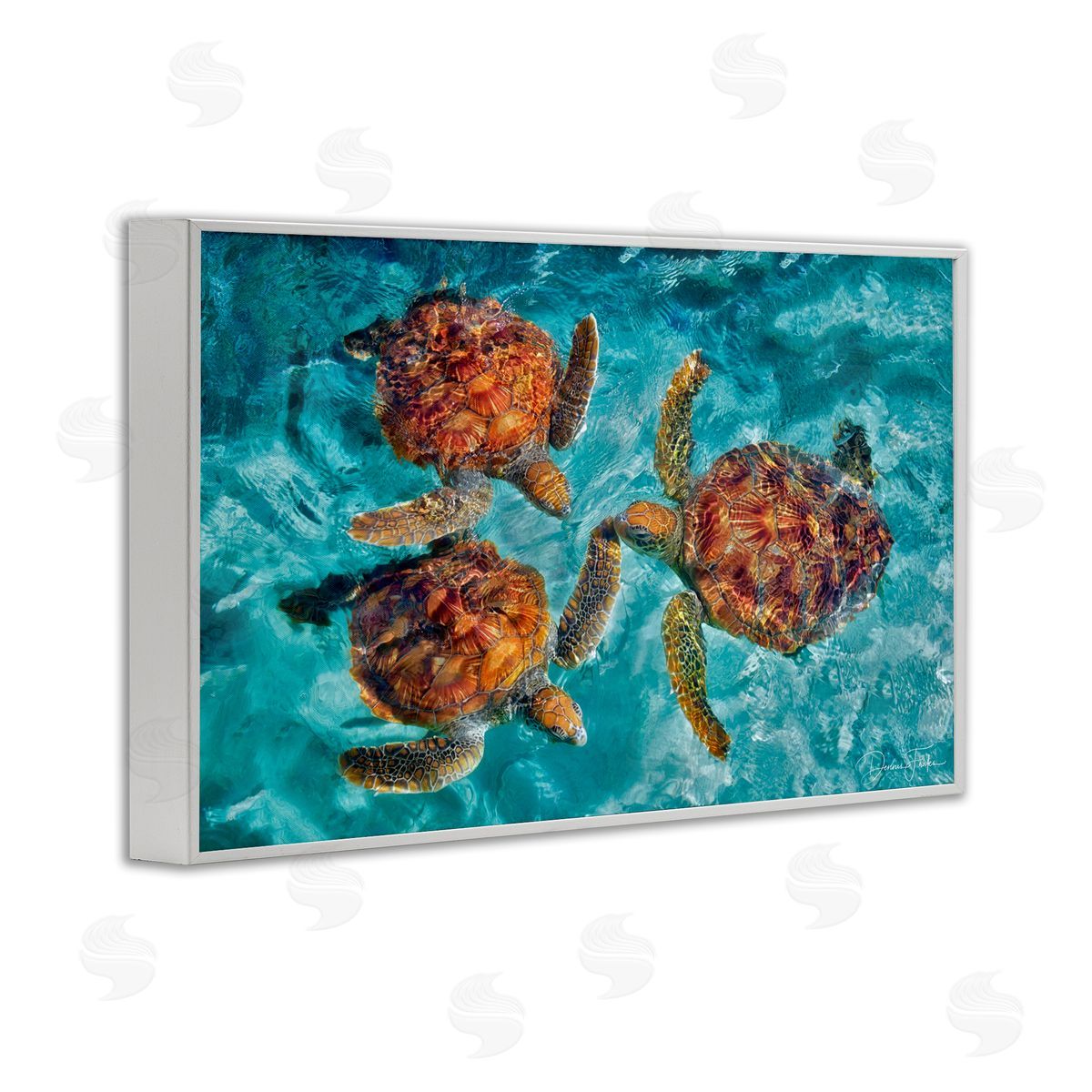 Swimming Tortoise Trio White Frame Print Wall Art, Home Decor by Dennis Frates