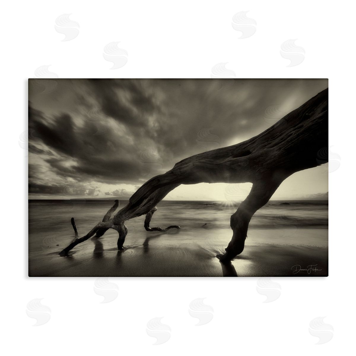 Tree Trunk on Shore Canvas Wall Art, Home Decor by Dennis Frates