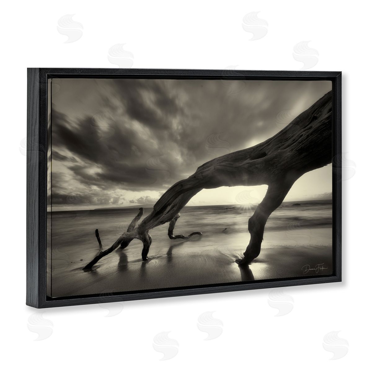 Tree Trunk on Shore Black Floating Frame Canvas Wall Art, Home Decor by Dennis Frates