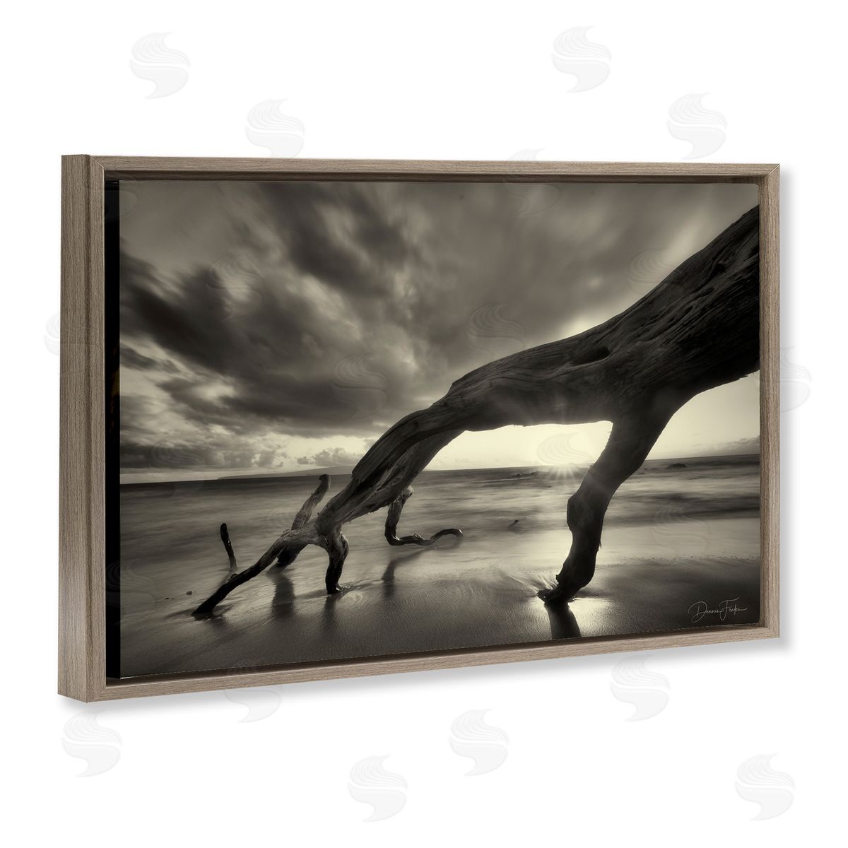 Tree Trunk on Shore Brown Floating Frame Canvas Wall Art, Home Decor by Dennis Frates